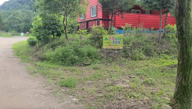 온빛투어 이미지