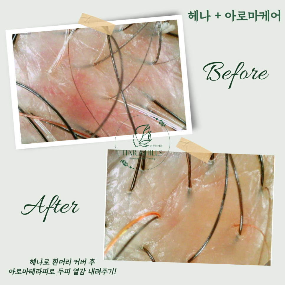 하라힐즈하가점 이미지