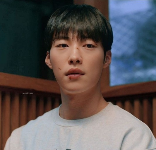 줌헤어 이미지
