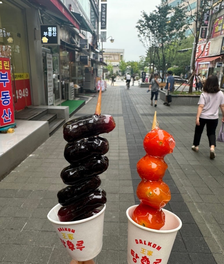 왕가탕후루파주금릉 이미지