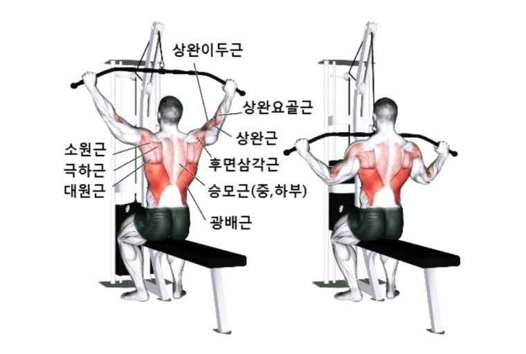 나의운동일지PT 이미지