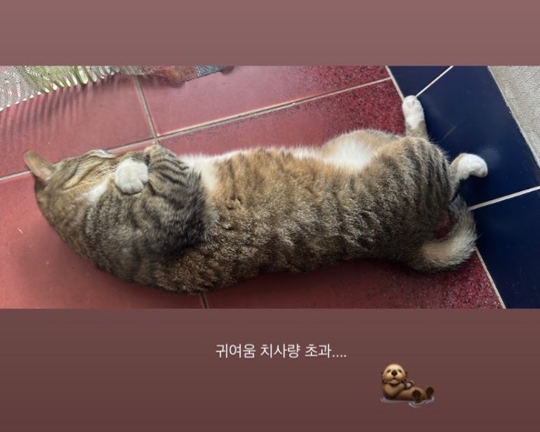 카페145샵 이미지