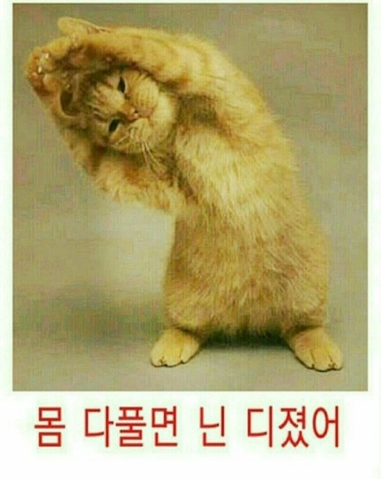 디진다 이미지