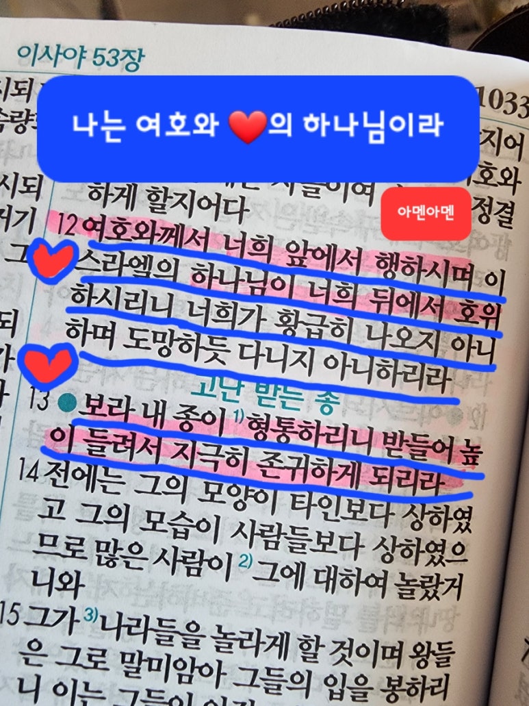 브니엘네이처(주) 이미지