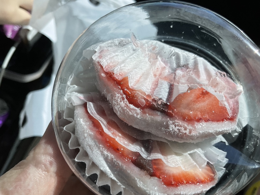 토마토노래광장 이미지