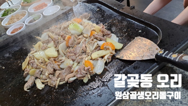 원삼골생오리돌구이 이미지