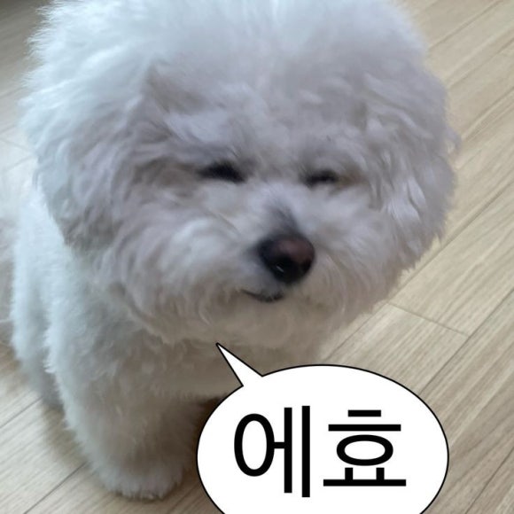 비에이치씨동호점 이미지
