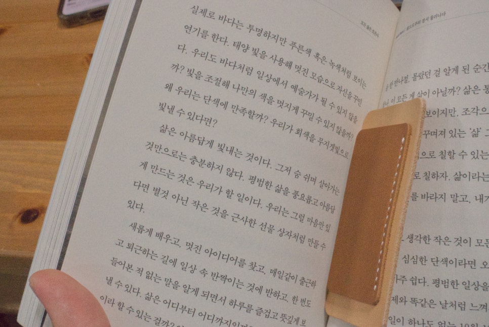 더차존이쉬 이미지
