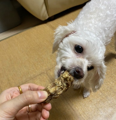 바름컴퍼니 이미지