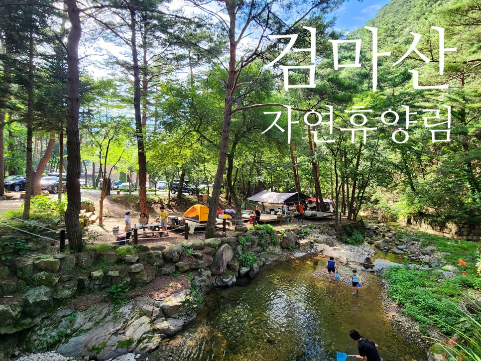 국립검마산자연휴양림 이미지