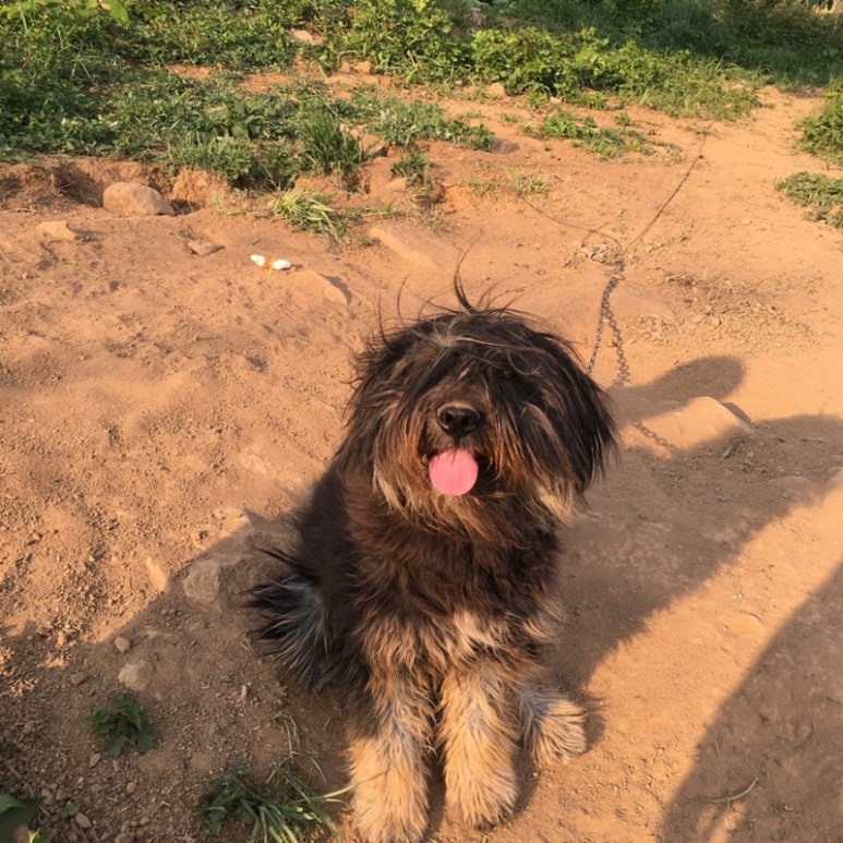 황매산 허굴산방 이미지