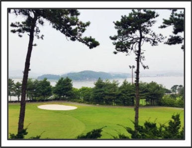 바로바로회원권거래소 이미지