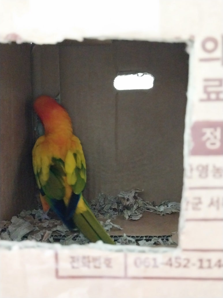 훈이박스 이미지
