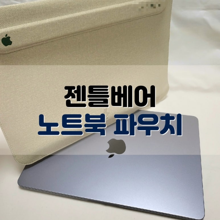 젠틀베어 이미지