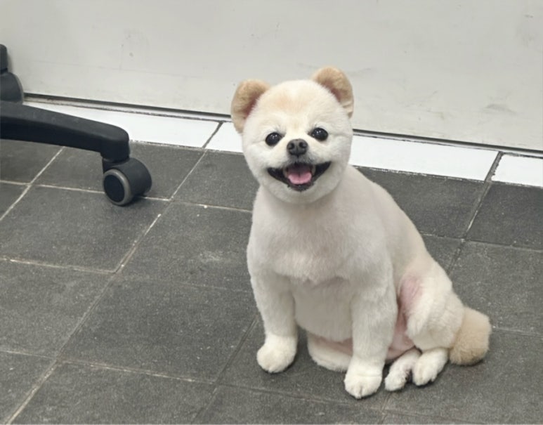 초원샵 이미지