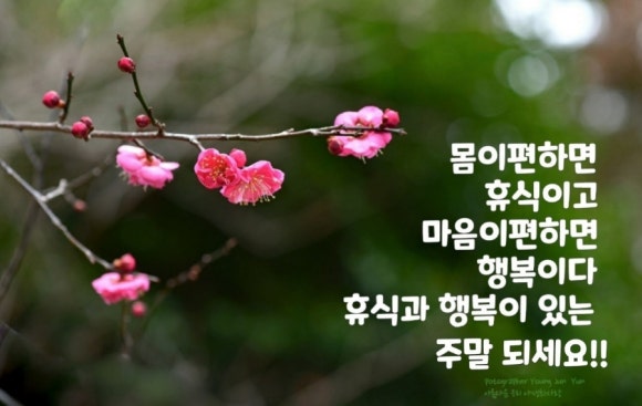 홍성축협한우플라자 이미지