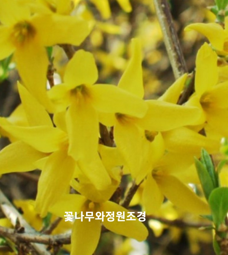 전곡울타리 이미지