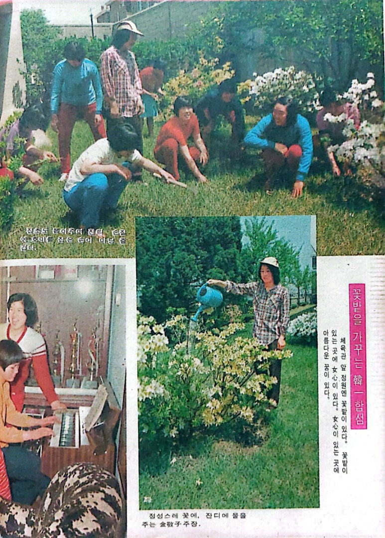 토프론 이미지