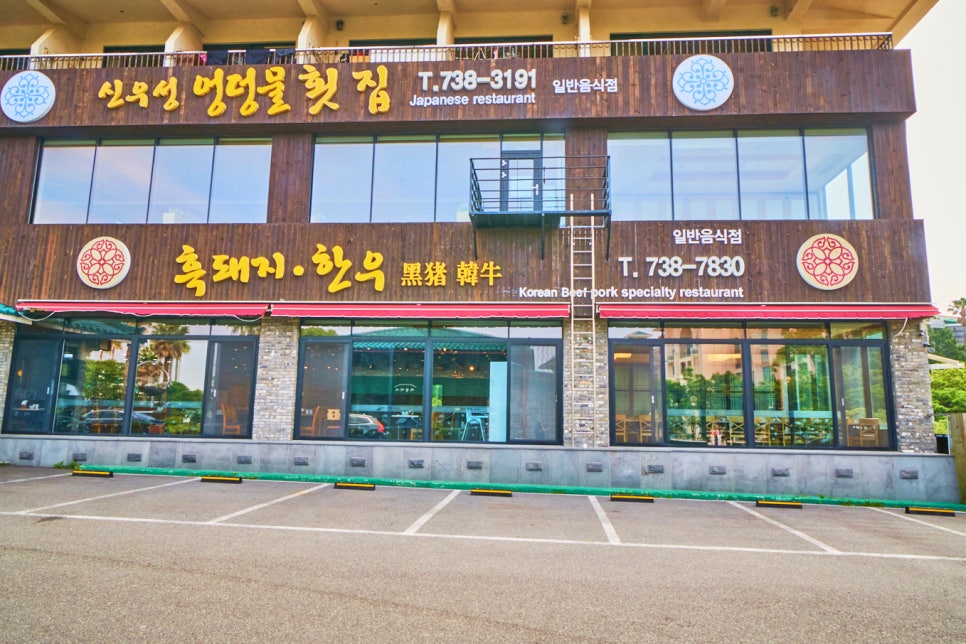 돼지30 이미지