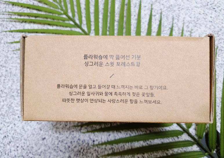 스윗 포레스트 이미지