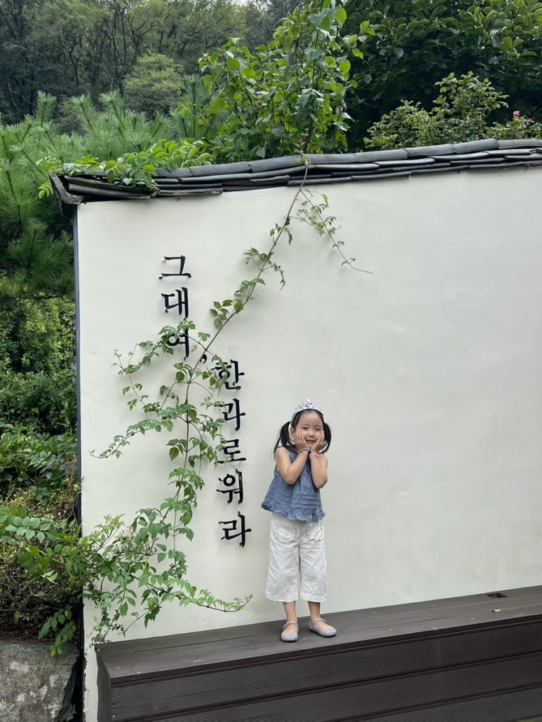 다온원 이미지