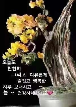 화성타일도기 이미지