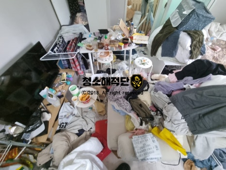 청소해적단 이미지