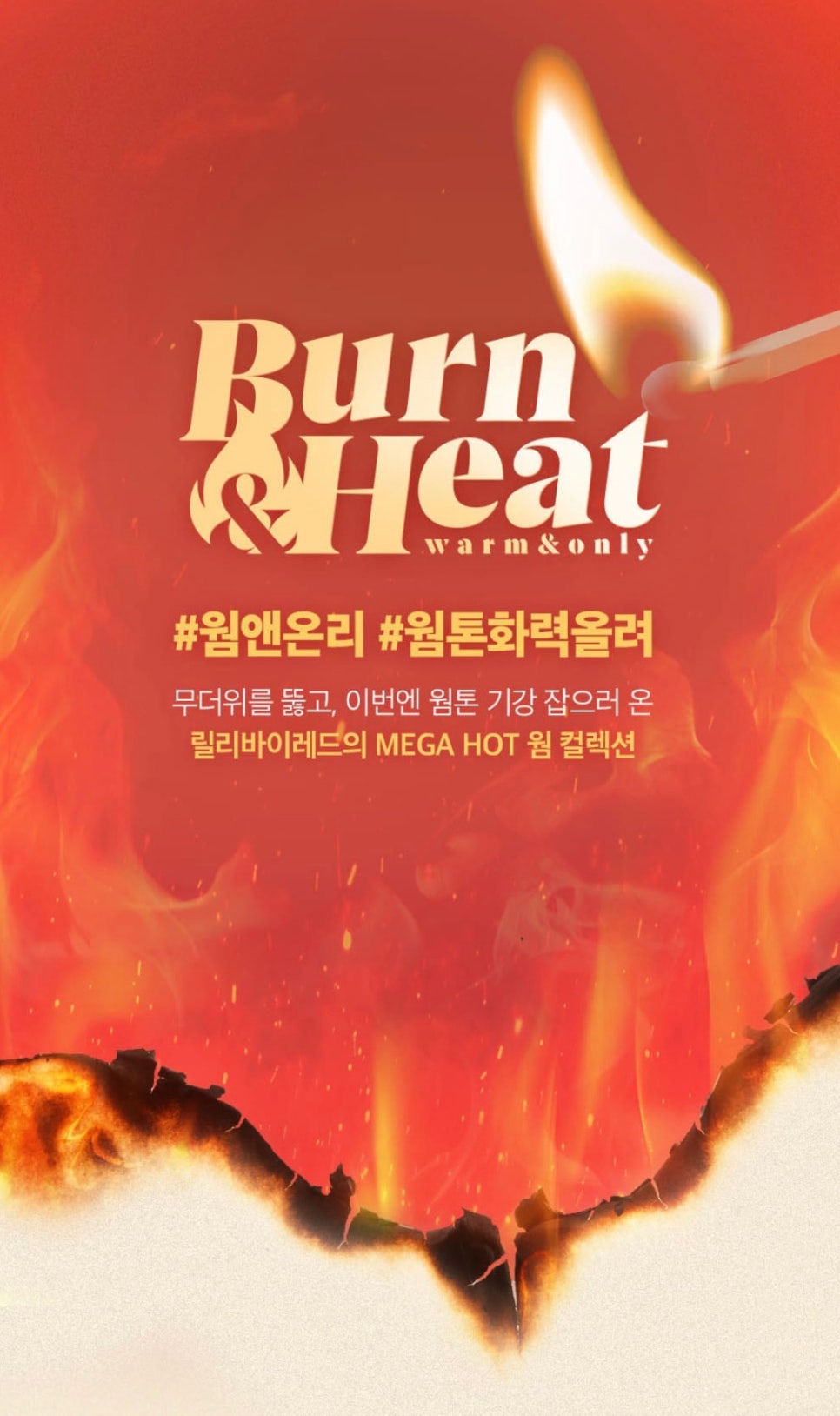 비티콜렉션 이미지