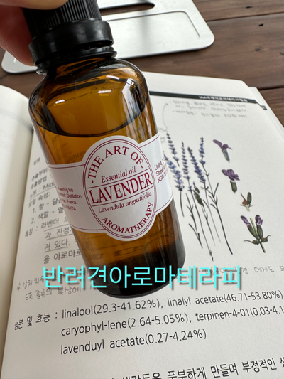 마리앙로제 이미지
