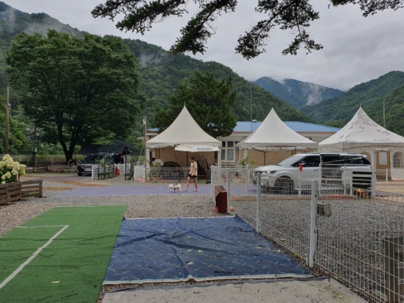 미산분교캠핑장 이미지