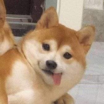 우동이요이요 이미지