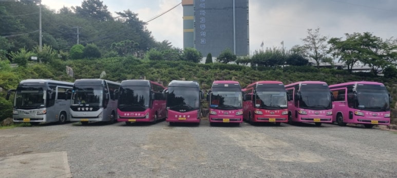 경일항공여행사 이미지
