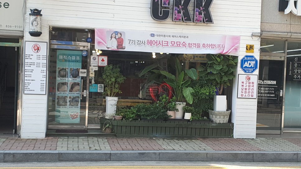 시크헤어 이미지