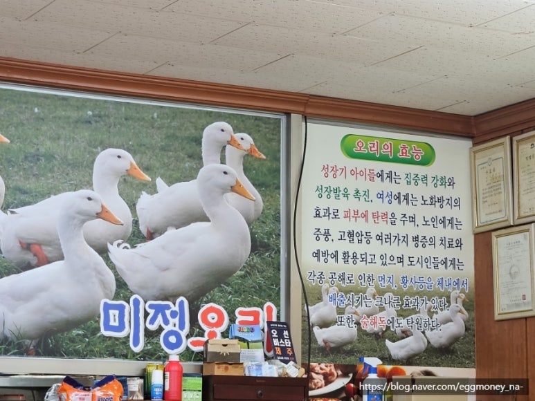 미정오리 이미지