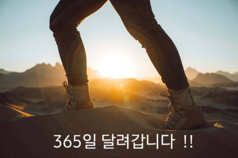에스케이씨행복썬팅 이미지