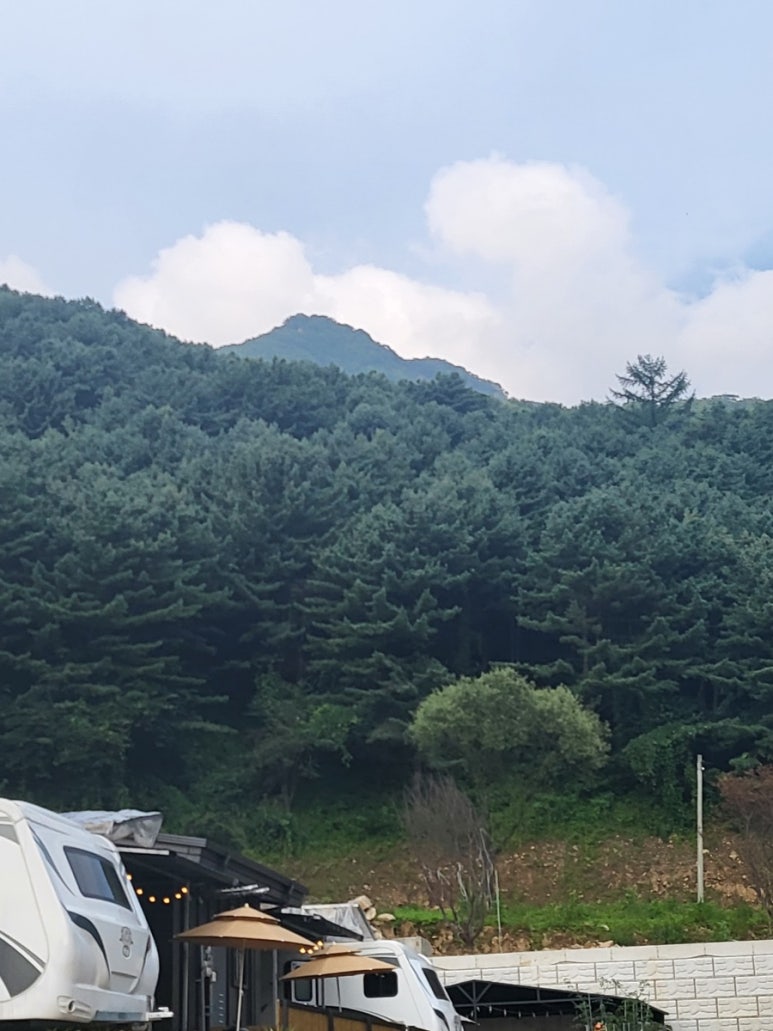 포쉬카라반 이미지