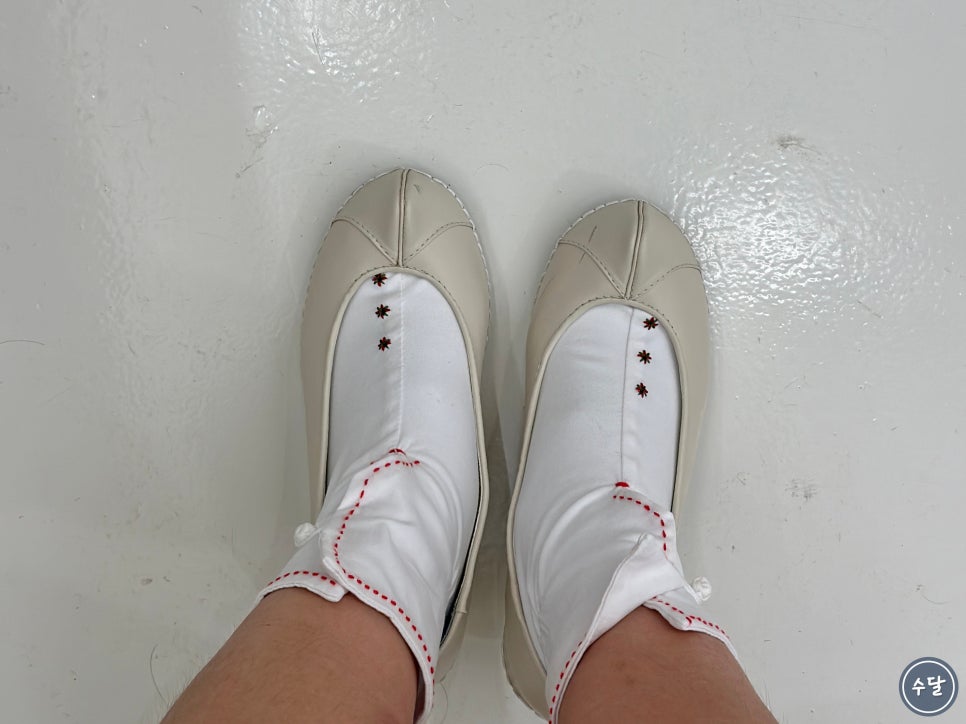 지지배배스튜디오 이미지