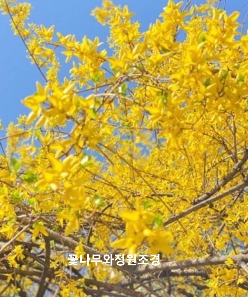 전곡울타리 이미지
