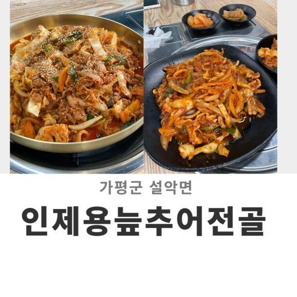 돼지랑추어랑 이미지