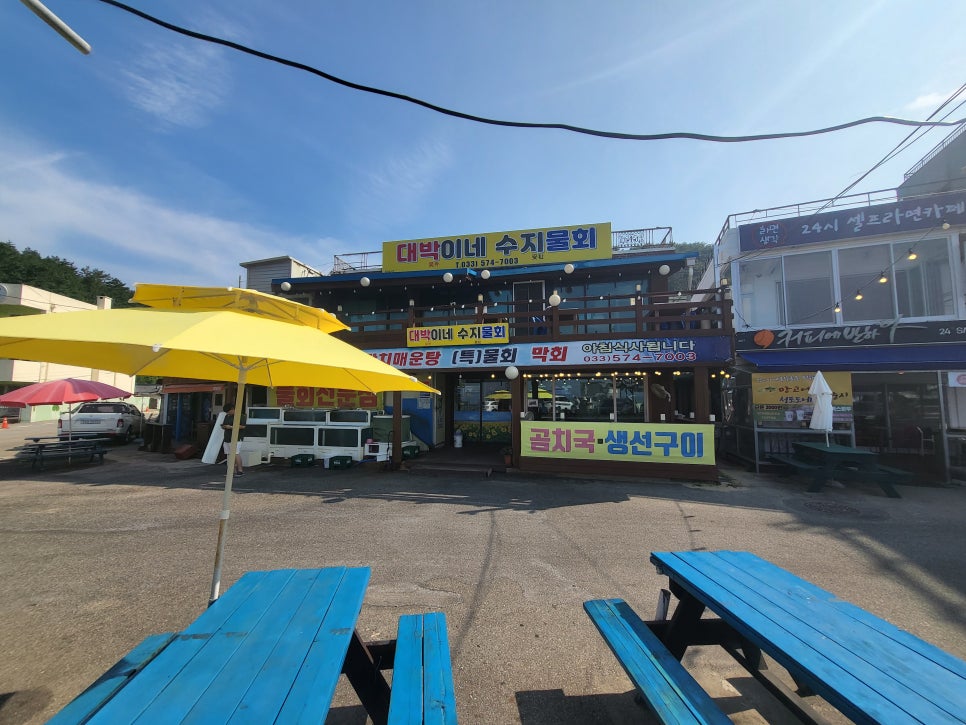 대박이네수지물회 이미지