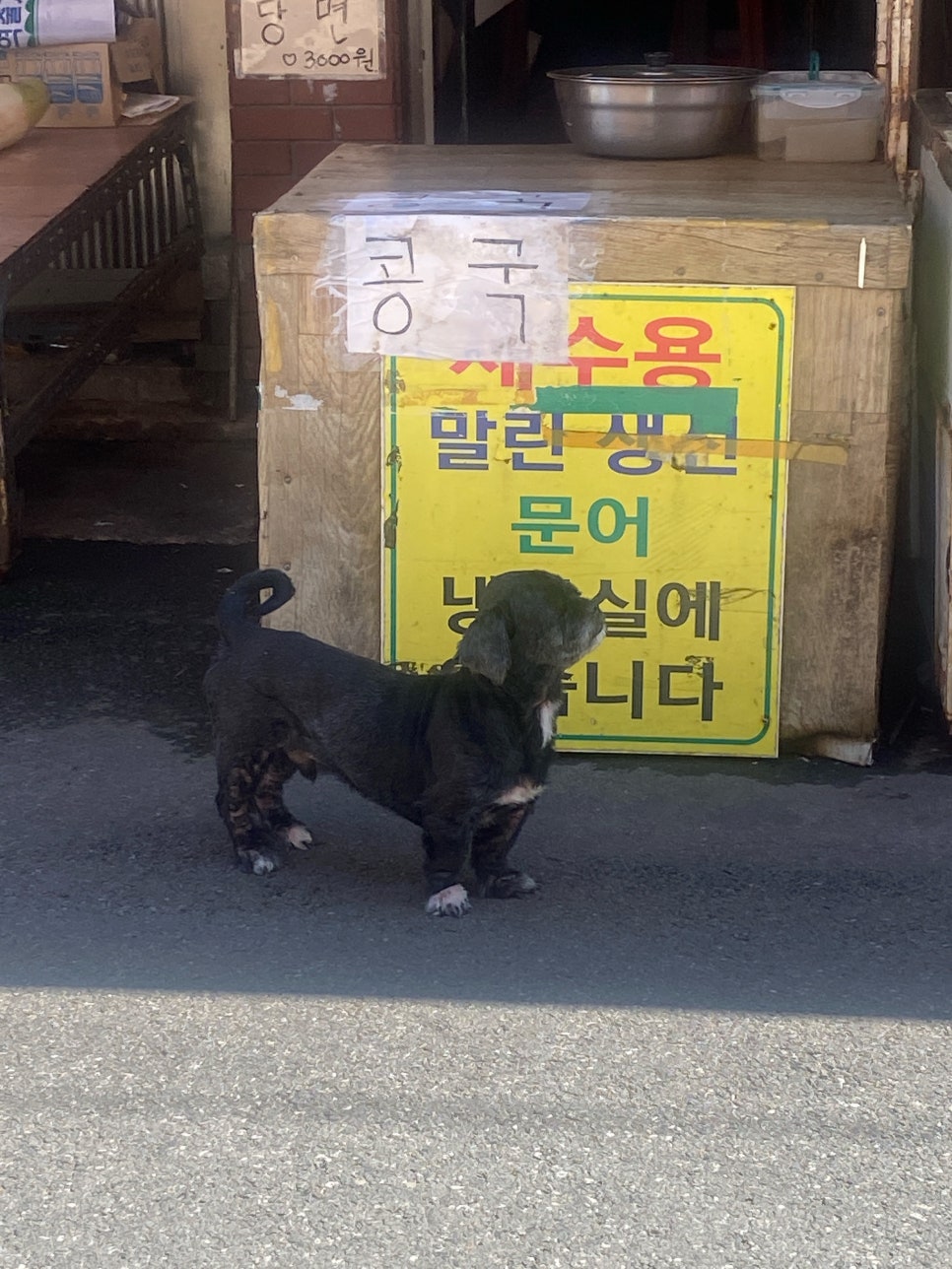 에덴세탁소 이미지