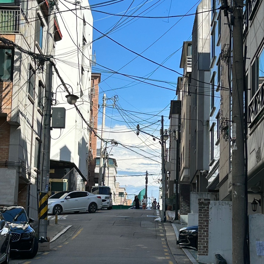 쑈땅쟈 이미지