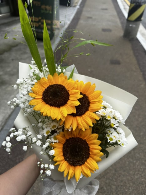 꽃다옴 이미지