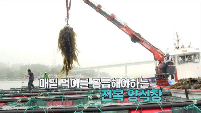 허리천사 이미지