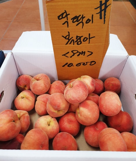 과일야채의달인 이미지