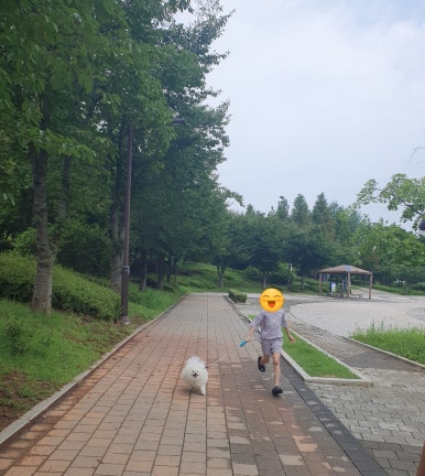 카페스라 이미지