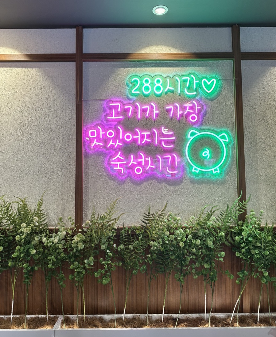 두툼돈288 이미지