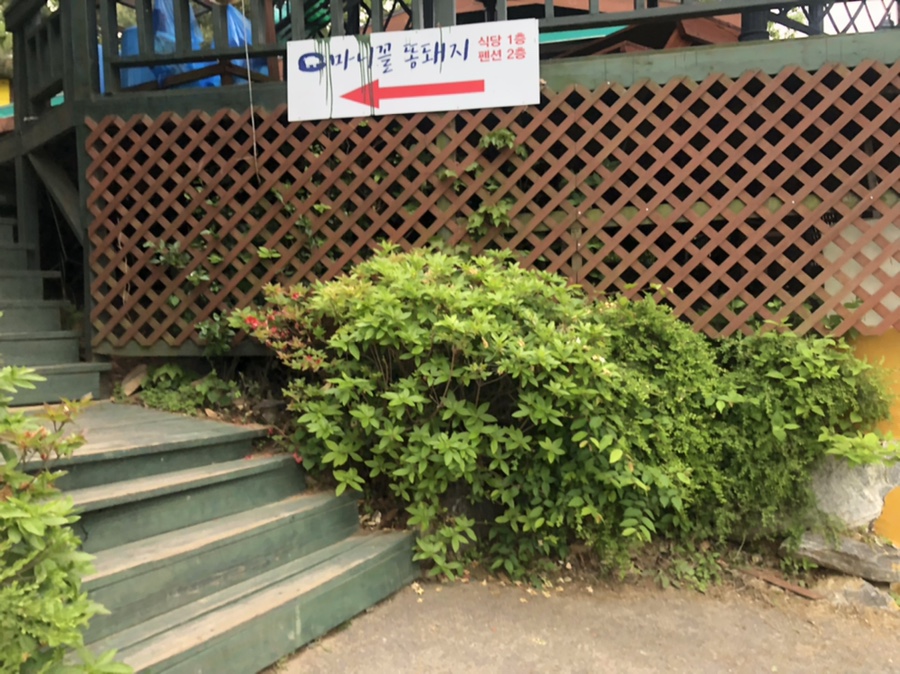 마니꼴똥돼지 이미지