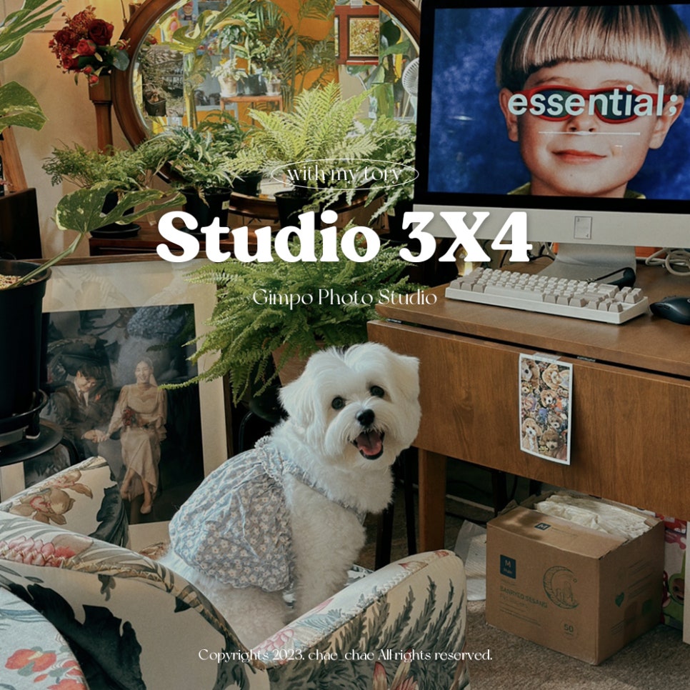 스튜디오3x4 이미지