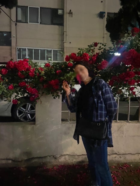 장미노래연습장 이미지
